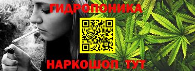 бошки Заволжье