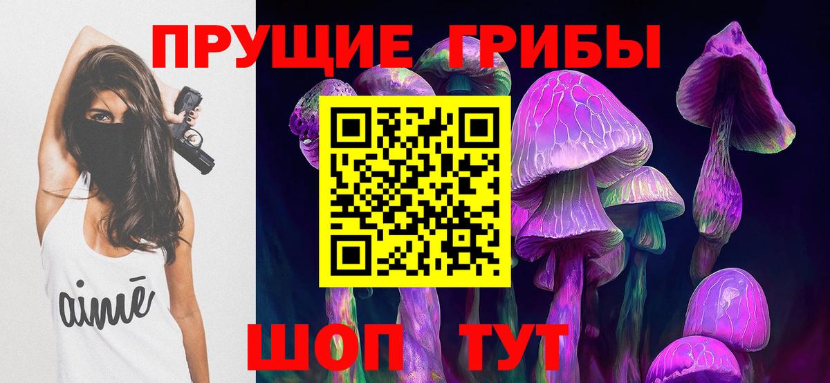 Галлюциногенные грибы Psilocybe  Вход с VPN  Надым 